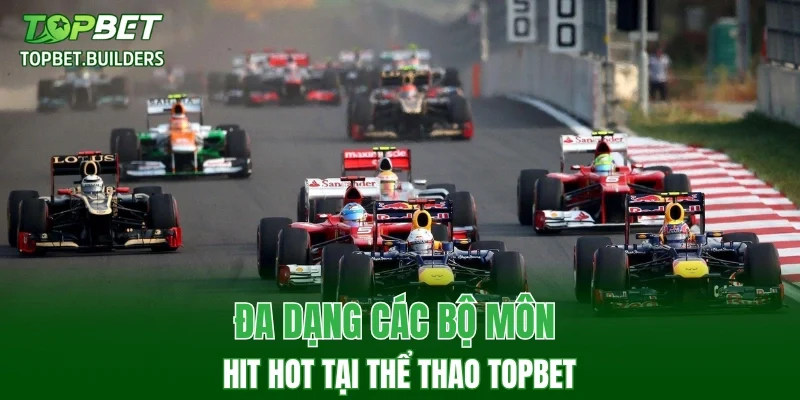 Đa dạng các bộ môn hit hot tại thể thao TOPBET