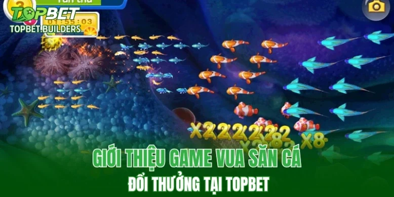 Giới thiệu game vua săn cá đổi thưởng tại TOPBET