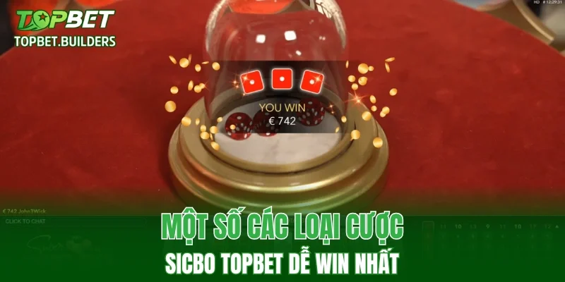 Một số các loại cược Sicbo TOPBET dễ win nhất