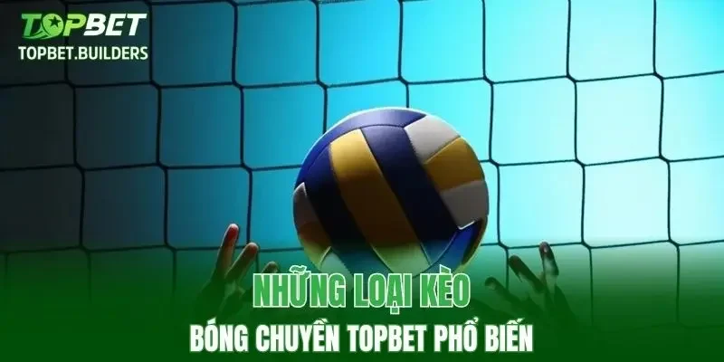 Những loại kèo bóng chuyền TOPBET phổ biến