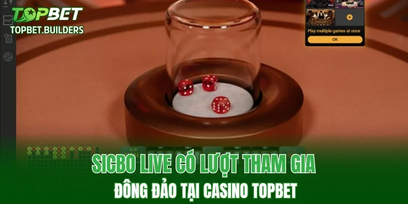 Sicbo live có lượt tham gia đông đảo tại Casino TOPBET
